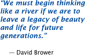 We must begin thinking like a river if we are to leave a legacy of beauty and life for future generations.  -- David Brower